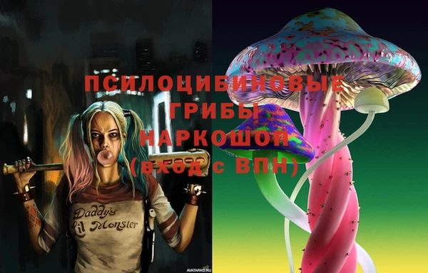 2c-b Алзамай
