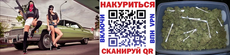 Бошки Шишки VHQ  мега ссылки  Цивильск 